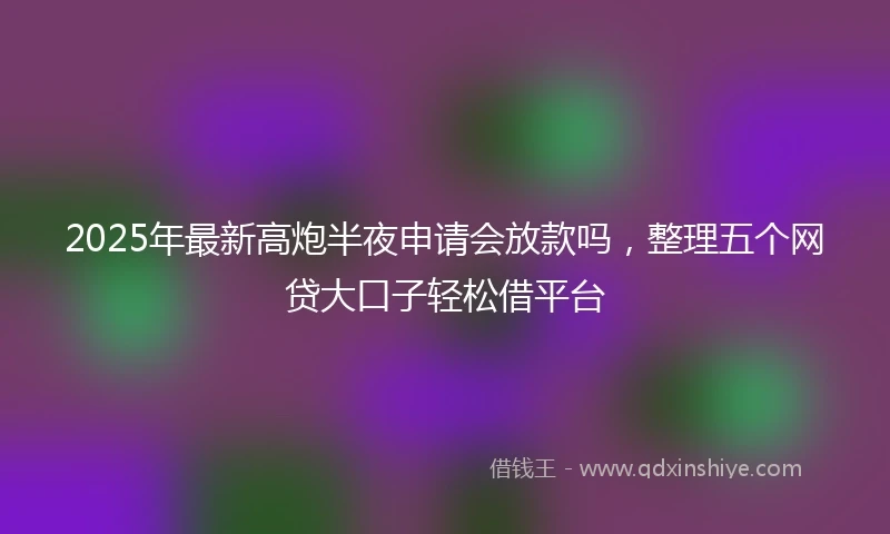 2025年最新高炮半夜申请会放款吗，整理五个网贷大口子轻松借平台