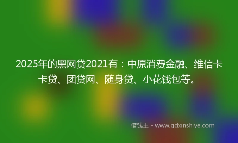 2025年的黑网贷2021有：中原消费金融、维信卡卡贷、团贷网、随身贷、小花钱包等。