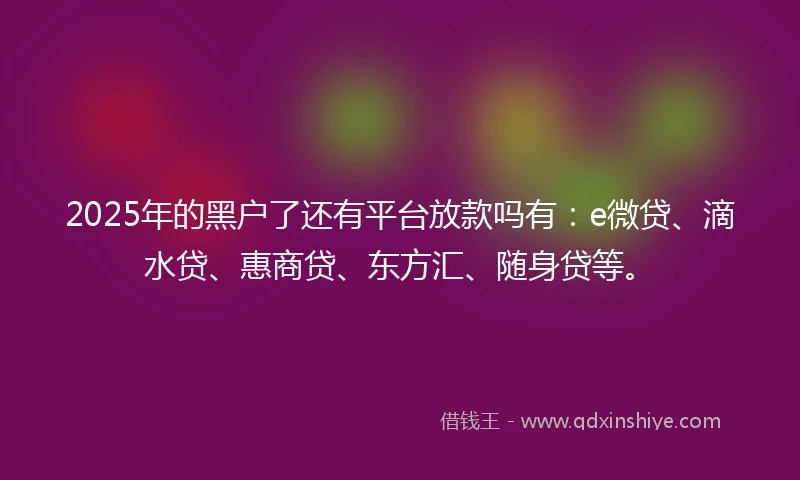 2025年的黑户了还有平台放款吗有：e微贷、滴水贷、惠商贷、东方汇、随身贷等。