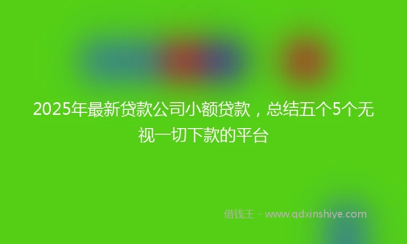 2025年最新贷款公司小额贷款，总结五个5个无视一切下款的平台