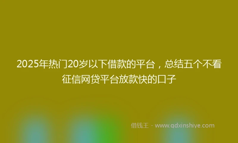 2025年热门20岁以下借款的平台，总结五个不看征信网贷平台放款快的口子