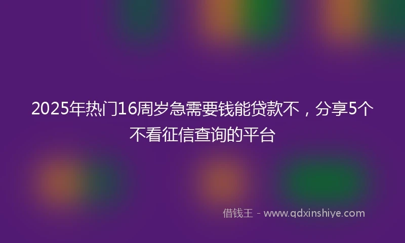 2025年热门16周岁急需要钱能贷款不，分享5个不看征信查询的平台