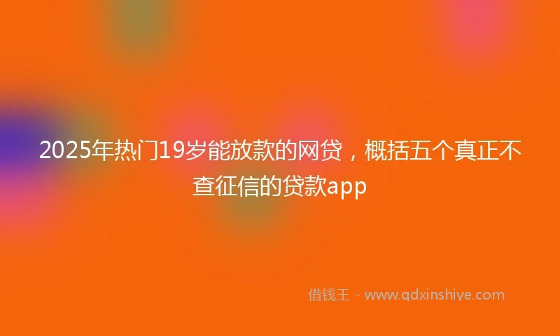 2025年热门19岁能放款的网贷，概括五个真正不查征信的贷款app