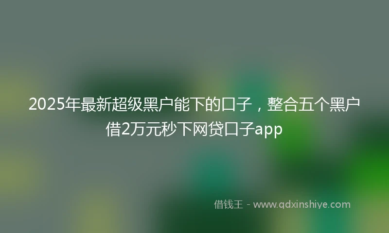 2025年最新超级黑户能下的口子，整合五个黑户借2万元秒下网贷口子app