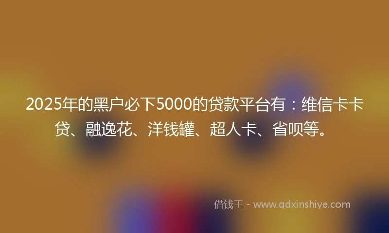 2025年的黑户必下5000的贷款平台有：维信卡卡贷、融逸花、洋钱罐、超人卡、省呗等。