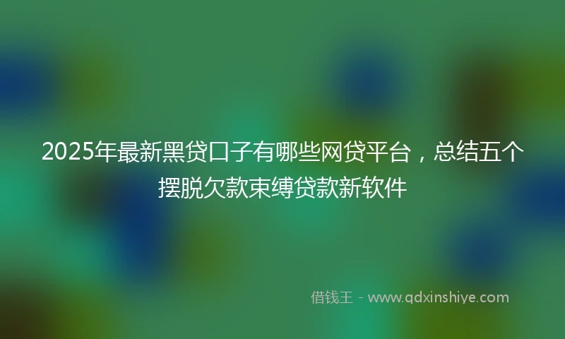 2025年最新黑贷口子有哪些网贷平台，总结五个摆脱欠款束缚贷款新软件