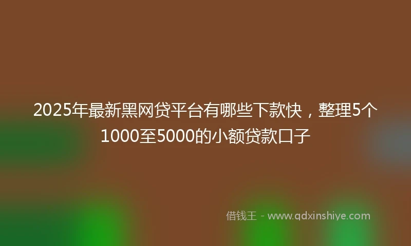 2025年最新黑网贷平台有哪些下款快，整理5个1000至5000的小额贷款口子