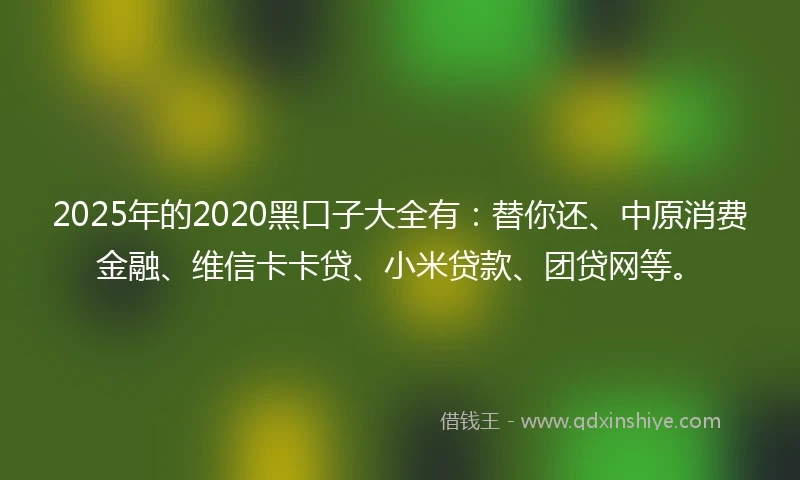 2025年的2020黑口子大全有：替你还、中原消费金融、维信卡卡贷、小米贷款、团贷网等。