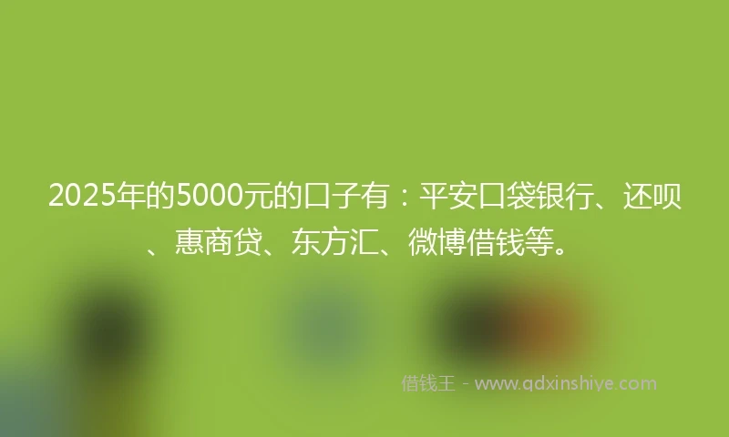 2025年的5000元的口子有：平安口袋银行、还呗、惠商贷、东方汇、微博借钱等。