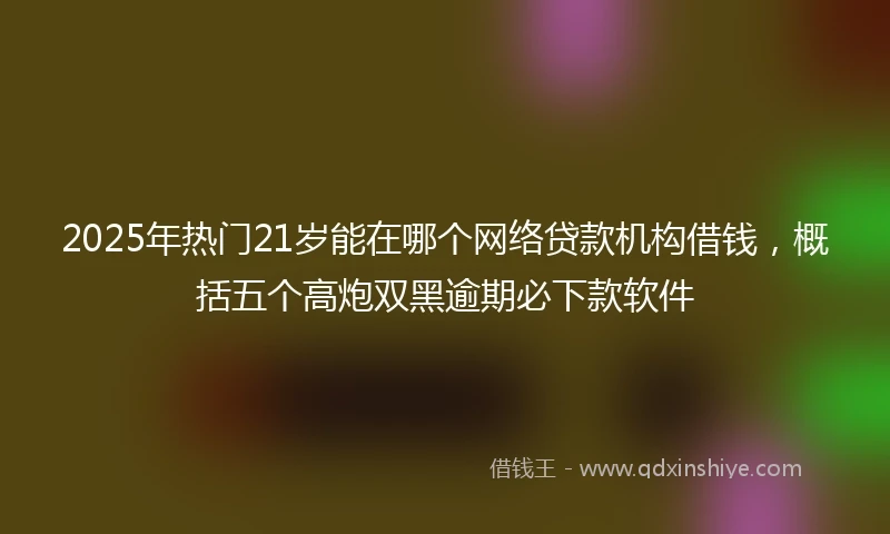 2025年热门21岁能在哪个网络贷款机构借钱，概括五个高炮双黑逾期必下款软件