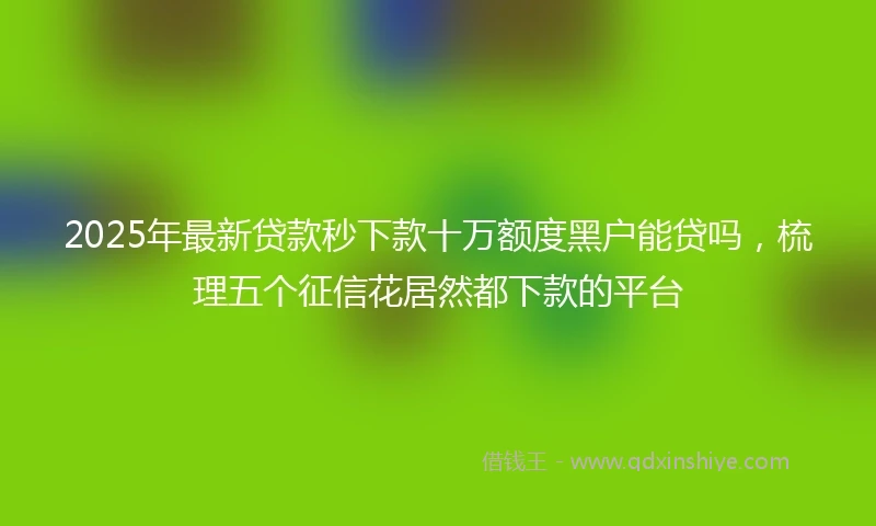 2025年最新贷款秒下款十万额度黑户能贷吗，梳理五个征信花居然都下款的平台