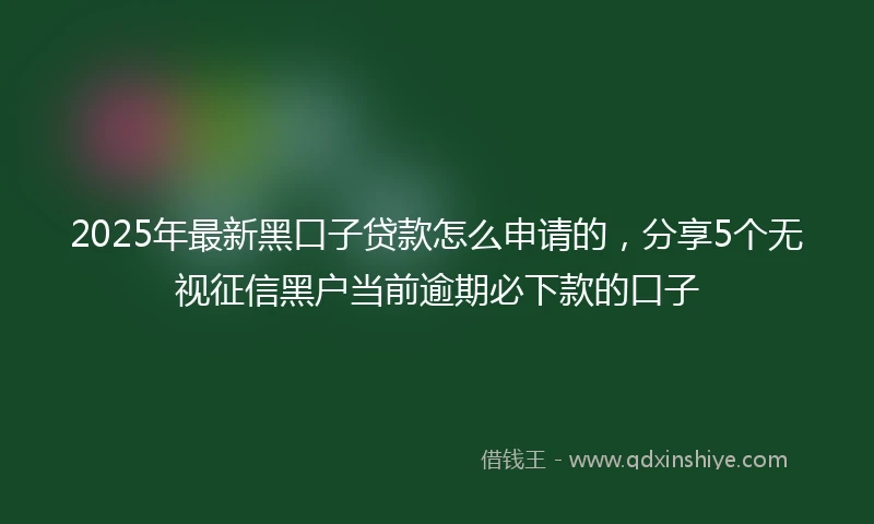 2025年最新黑口子贷款怎么申请的，分享5个无视征信黑户当前逾期必下款的口子