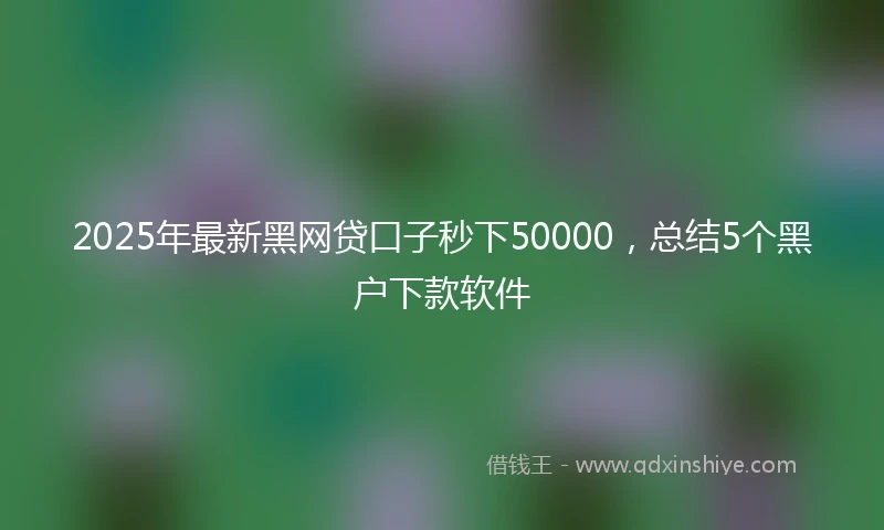 2025年最新黑网贷口子秒下50000，总结5个黑户下款软件