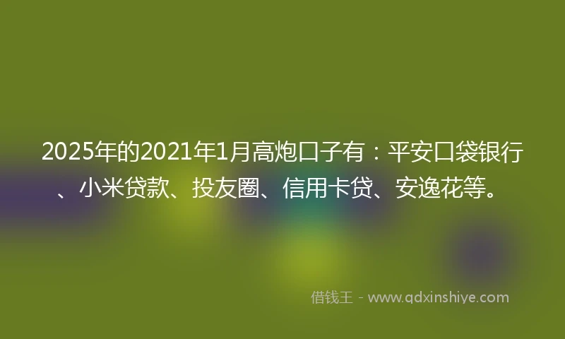 2025年的2021年1月高炮口子有：平安口袋银行、小米贷款、投友圈、信用卡贷、安逸花等。