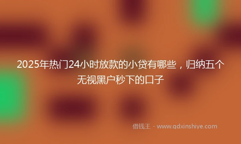 2025年热门24小时放款的小贷有哪些，归纳五个无视黑户秒下的口子