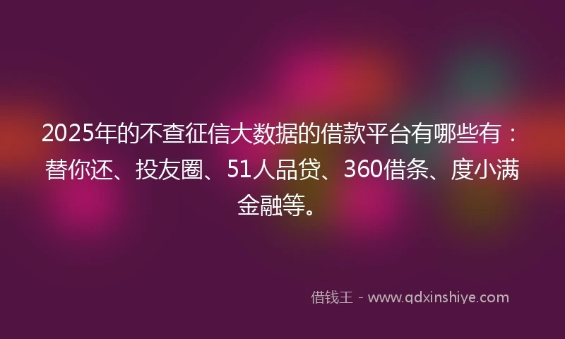 2025年的不查征信大数据的借款平台有哪些有：替你还、投友圈、51人品贷、360借条、度小满金融等。