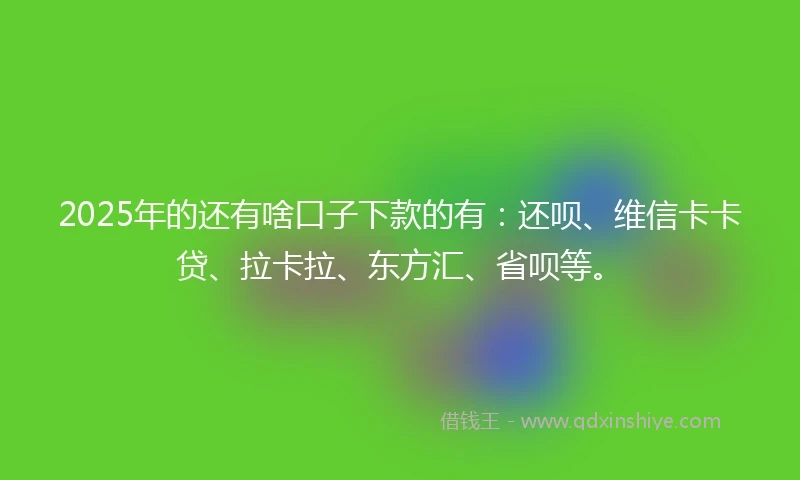 2025年的还有啥口子下款的有：还呗、维信卡卡贷、拉卡拉、东方汇、省呗等。