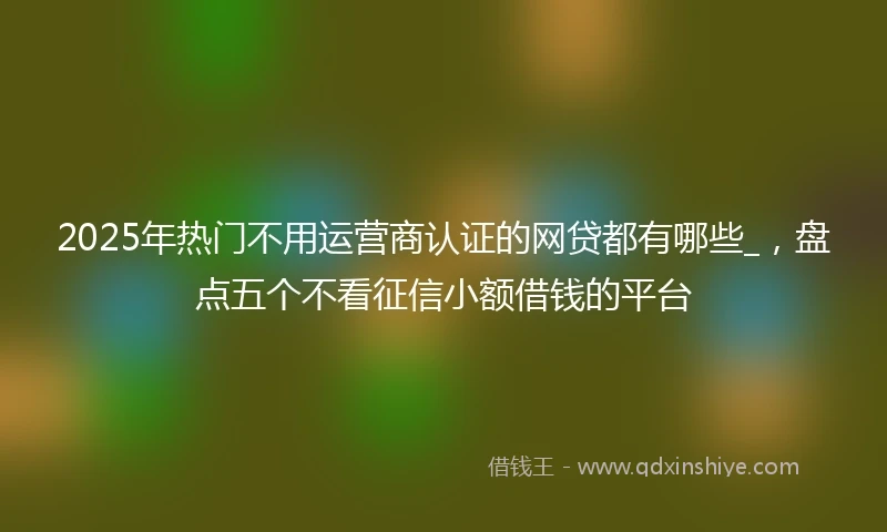 2025年热门不用运营商认证的网贷都有哪些_，盘点五个不看征信小额借钱的平台