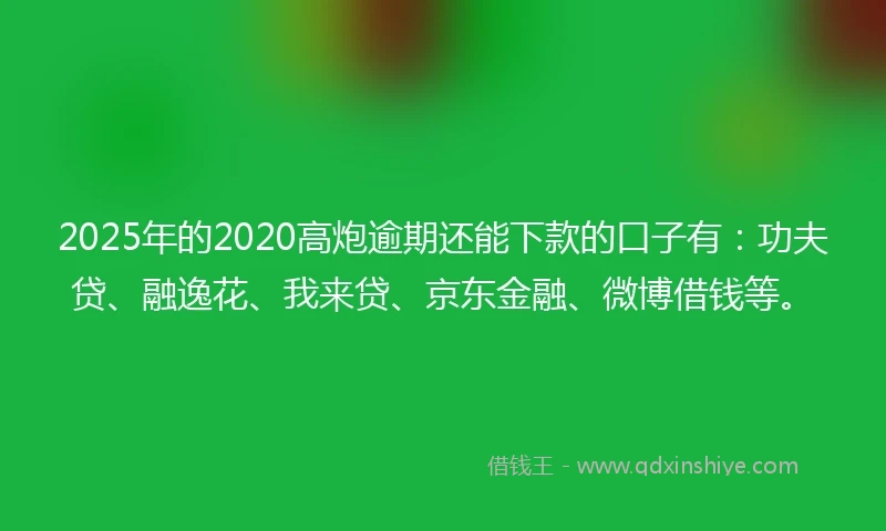 2025年的2020高炮逾期还能下款的口子有：功夫贷、融逸花、我来贷、京东金融、微博借钱等。