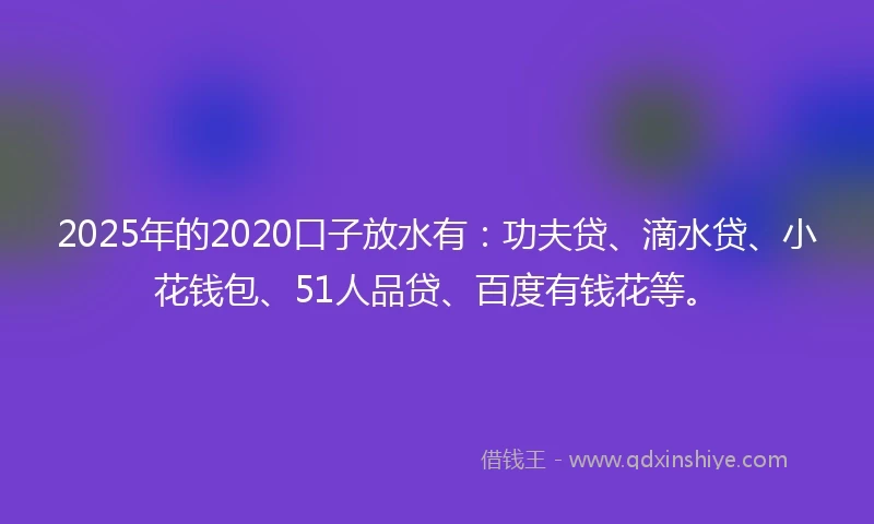 2025年的2020口子放水有：功夫贷、滴水贷、小花钱包、51人品贷、百度有钱花等。