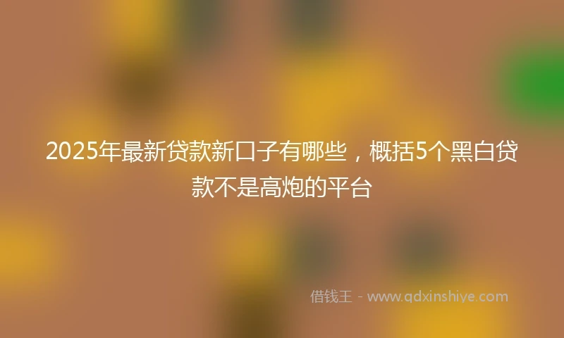 2025年最新贷款新口子有哪些，概括5个黑白贷款不是高炮的平台