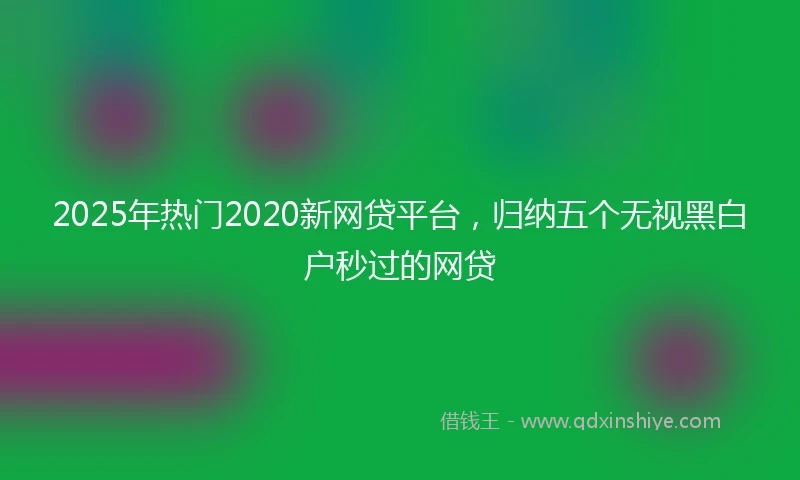 2025年热门2020新网贷平台，归纳五个无视黑白户秒过的网贷
