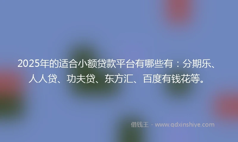 2025年的适合小额贷款平台有哪些有：分期乐、人人贷、功夫贷、东方汇、百度有钱花等。