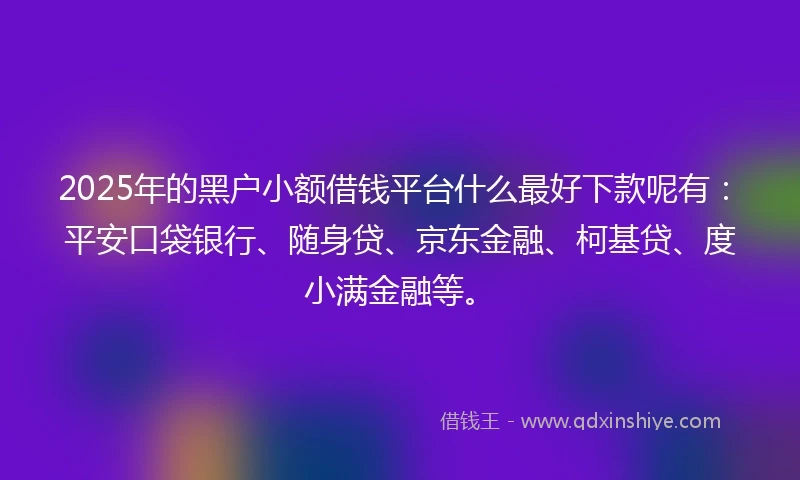 2025年的黑户小额借钱平台什么最好下款呢有：平安口袋银行、随身贷、京东金融、柯基贷、度小满金融等。