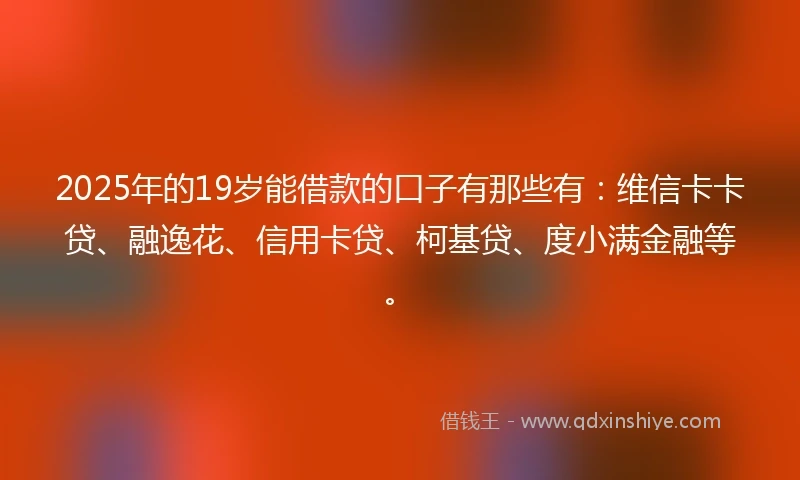 2025年的19岁能借款的口子有那些有：维信卡卡贷、融逸花、信用卡贷、柯基贷、度小满金融等。
