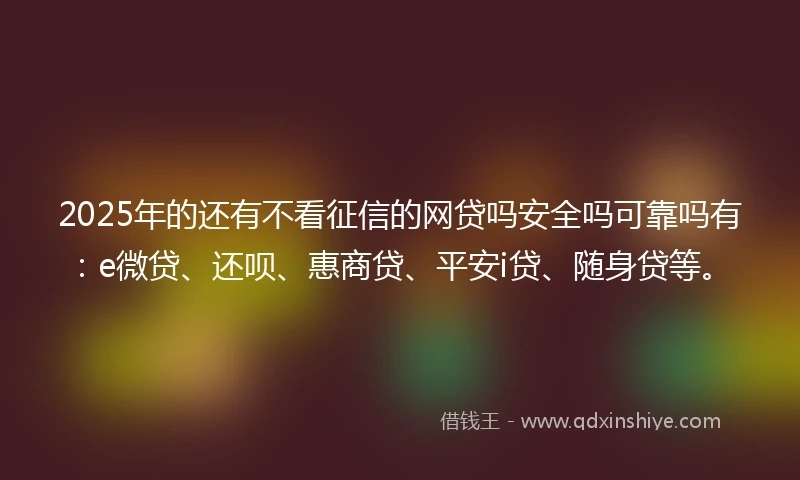 2025年的还有不看征信的网贷吗安全吗可靠吗有：e微贷、还呗、惠商贷、平安i贷、随身贷等。