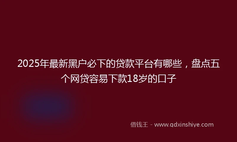 2025年最新黑户必下的贷款平台有哪些，盘点五个网贷容易下款18岁的口子