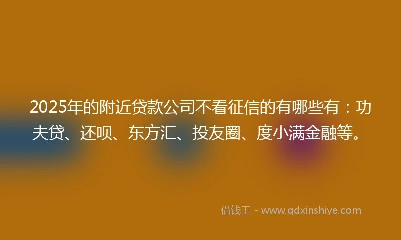 2025年的附近贷款公司不看征信的有哪些有：功夫贷、还呗、东方汇、投友圈、度小满金融等。