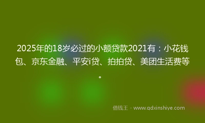 2025年的18岁必过的小额贷款2021有：小花钱包、京东金融、平安i贷、拍拍贷、美团生活费等。