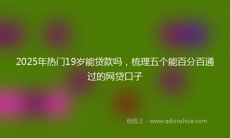 2025年热门19岁能贷款吗，梳理五个能百分百通过的网贷口子