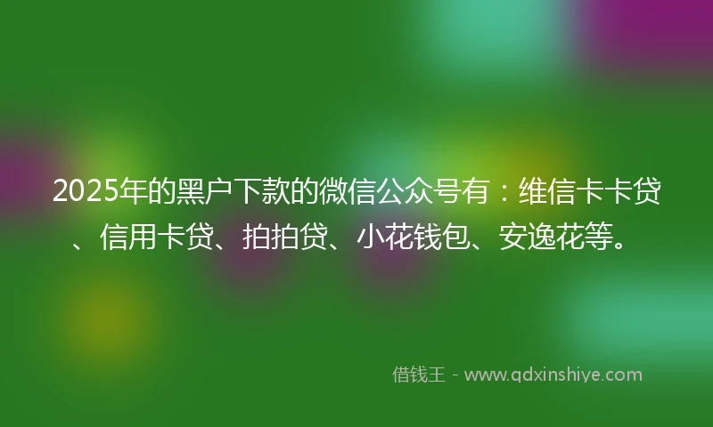 2025年的黑户下款的微信公众号有：维信卡卡贷、信用卡贷、拍拍贷、小花钱包、安逸花等。