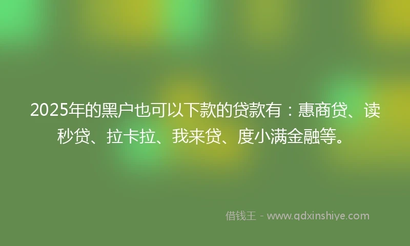 2025年的黑户也可以下款的贷款有：惠商贷、读秒贷、拉卡拉、我来贷、度小满金融等。