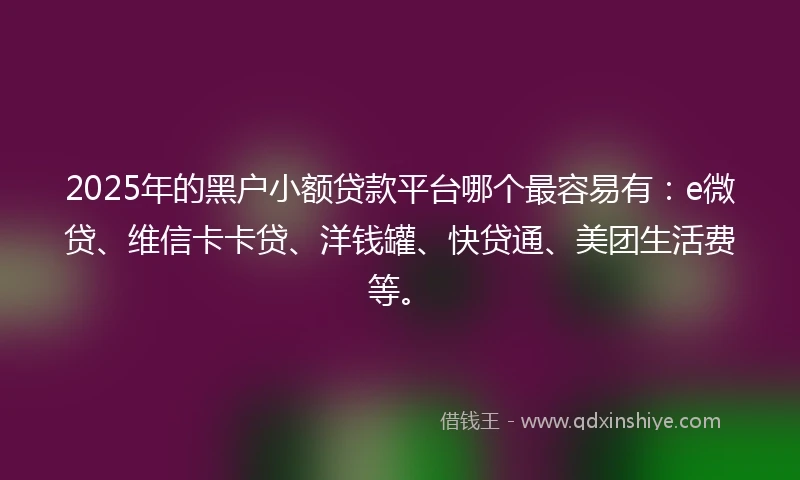 2025年的黑户小额贷款平台哪个最容易有：e微贷、维信卡卡贷、洋钱罐、快贷通、美团生活费等。
