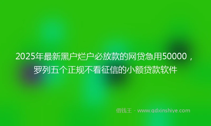 2025年最新黑户烂户必放款的网贷急用50000，罗列五个正规不看征信的小额贷款软件