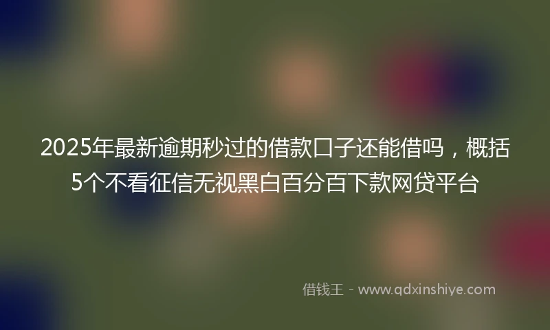 2025年最新逾期秒过的借款口子还能借吗，概括5个不看征信无视黑白百分百下款网贷平台