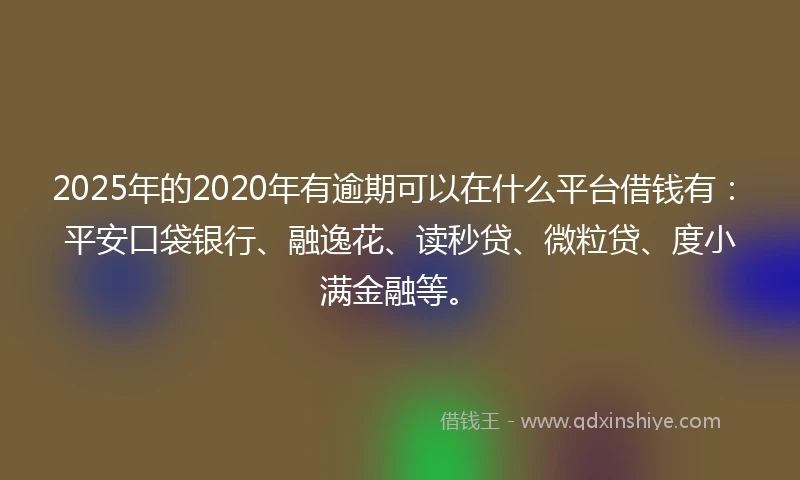 2025年的2020年有逾期可以在什么平台借钱有：平安口袋银行、融逸花、读秒贷、微粒贷、度小满金融等。