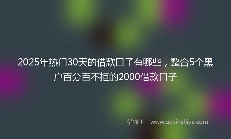2025年热门30天的借款口子有哪些，整合5个黑户百分百不拒的2000借款口子