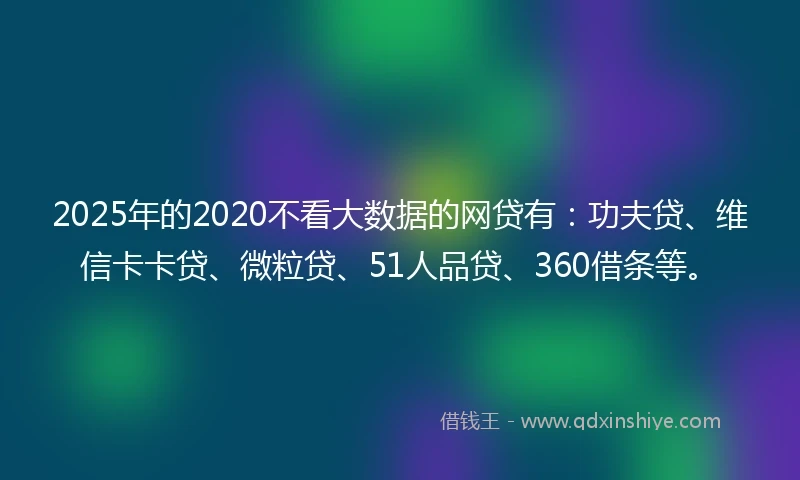 2025年的2020不看大数据的网贷有：功夫贷、维信卡卡贷、微粒贷、51人品贷、360借条等。