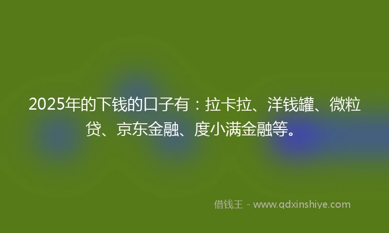 2025年的下钱的口子有：拉卡拉、洋钱罐、微粒贷、京东金融、度小满金融等。