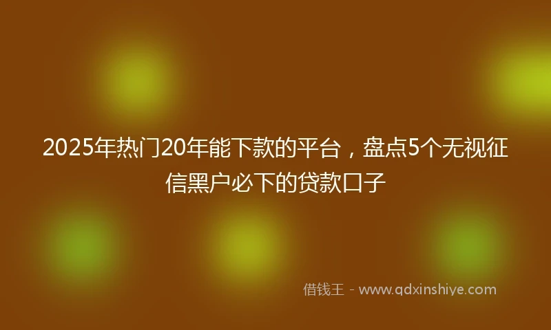 2025年热门20年能下款的平台，盘点5个无视征信黑户必下的贷款口子