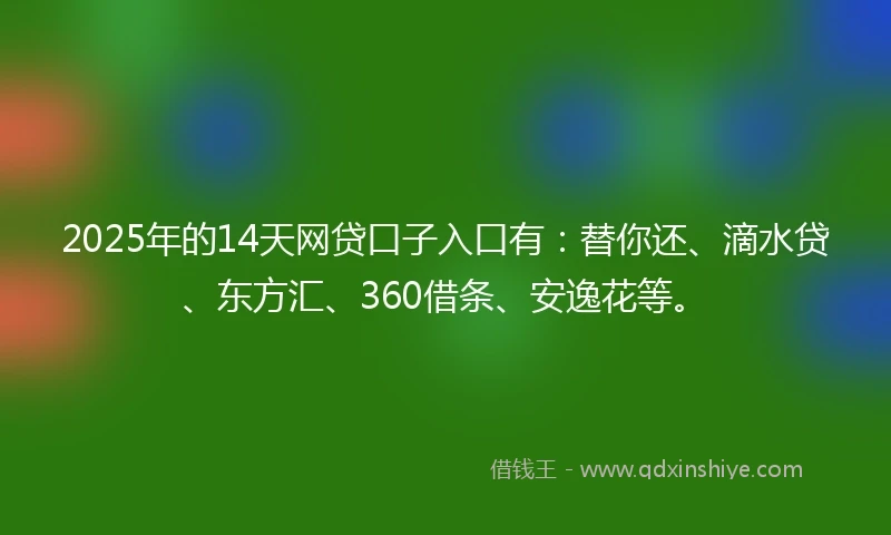 2025年的14天网贷口子入口有：替你还、滴水贷、东方汇、360借条、安逸花等。