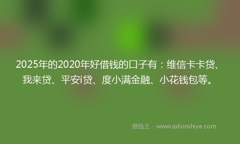 2025年的2020年好借钱的口子有：维信卡卡贷、我来贷、平安i贷、度小满金融、小花钱包等。