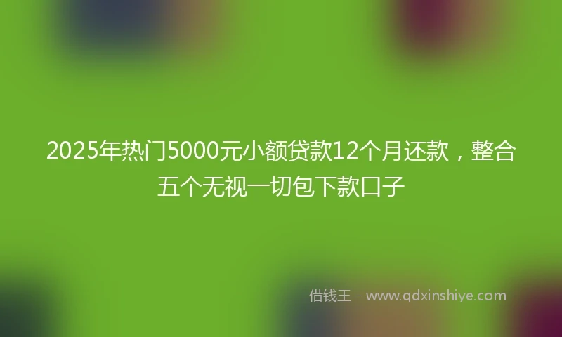 2025年热门5000元小额贷款12个月还款，整合五个无视一切包下款口子