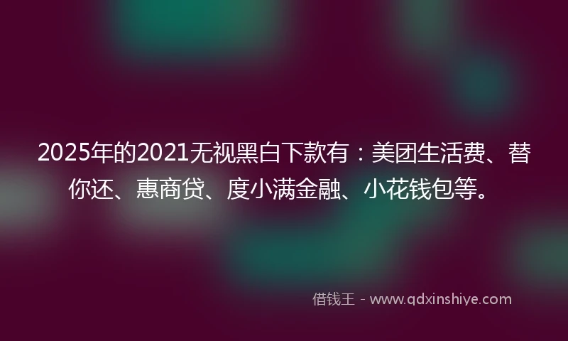 2025年的2021无视黑白下款有：美团生活费、替你还、惠商贷、度小满金融、小花钱包等。