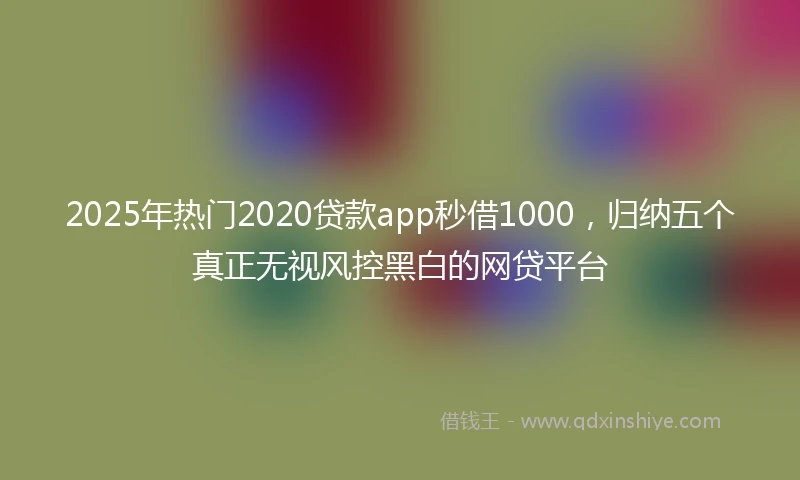 2025年热门2020贷款app秒借1000，归纳五个真正无视风控黑白的网贷平台
