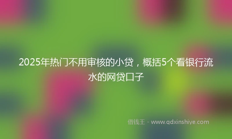 2025年热门不用审核的小贷，概括5个看银行流水的网贷口子